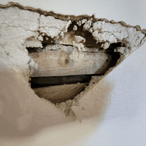 Drywall Repair and Plastering